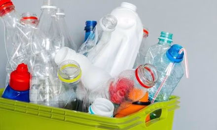 Limbah Plastik Merupakan Zat Yang Merusak Berbagai Ekosistem