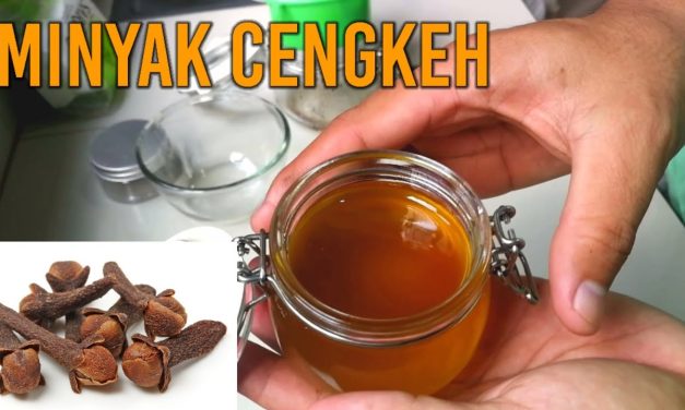 Beragam Khasiat Minyak Cengkeh Di Kenal Sebagai Obat Alami