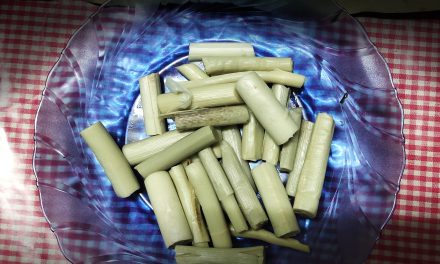 Pakat Khas Tapanuli: Sensasi Pucuk Rotan Yang Lembut Dan Pahit