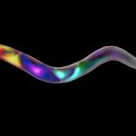 Penelitian Cacing C. Elegans Beri Wawasan Baru Ilmu Kesehatan