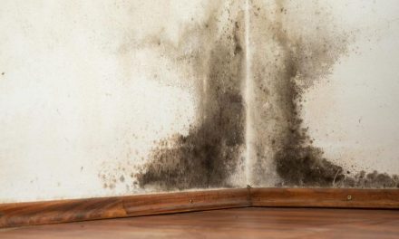 Tips Atasi Ruangan Lembap Dan Berjamur Dengan Arang Aktif