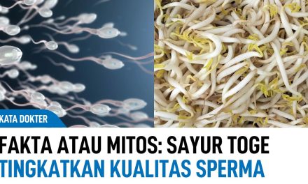 Mitos Vs Fakta Sayur Tauge Bisa Membuat Cepat Hamil ?
