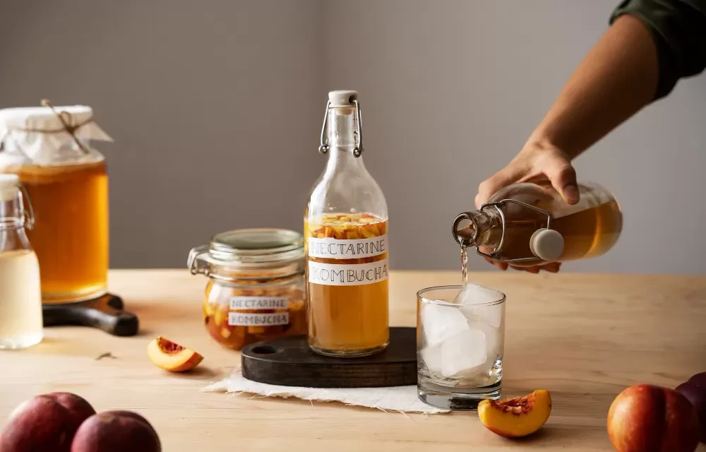 Minuman Fermentasi Kombucha Untuk Tubuh Dan Pikiran
