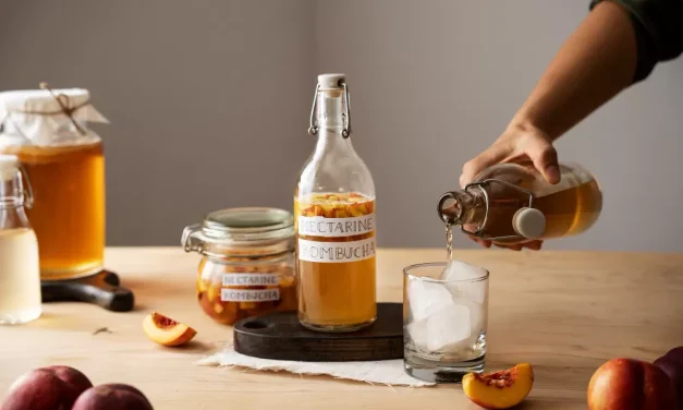 Minuman Fermentasi Kombucha Untuk Tubuh Dan Pikiran