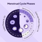 Siklus Menstruasi Yang Terganggu Harus Di Tangani Segera