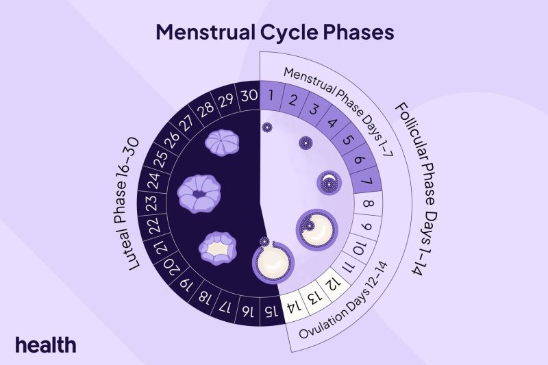 Siklus Menstruasi Yang Terganggu Harus Di Tangani Segera
